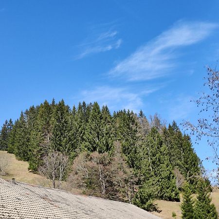 טודנאו Berggasthaus Prager Boden מראה חיצוני תמונה